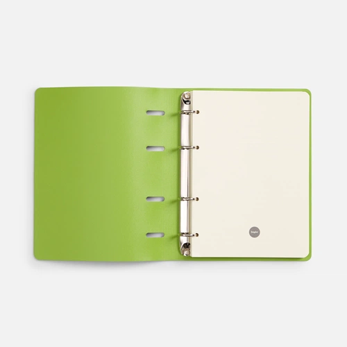 Ежедневник Ringo, недатированный, зеленый Ежедневник Ringo, недатированный, зеленый