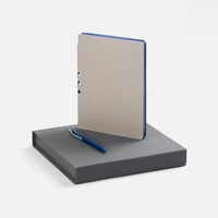 Набор Flexpen Grey, синий