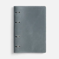 Ежедневник inStream, недатированный