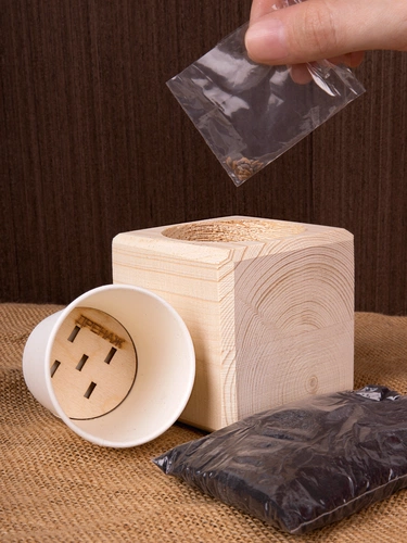 Набор для выращивания «Экокуб», ель голубая Набор для выращивания «Экокуб», ель голубая