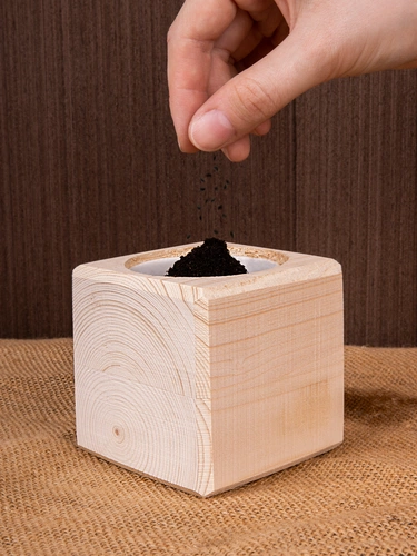 Набор для выращивания «Экокуб», ель голубая Набор для выращивания «Экокуб», ель голубая