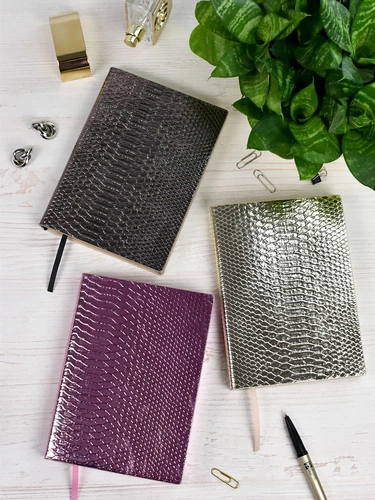 Ежедневник Anaconda, недатированный, серебристый Ежедневник Anaconda, недатированный, серебристый