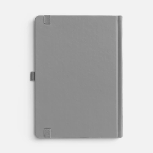 Ежедневник Favor Metal, недатированный, серый Ежедневник Favor Metal, недатированный, серый