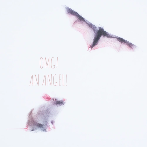 Футболка женская An Аngel, белая Футболка женская An Аngel, белая