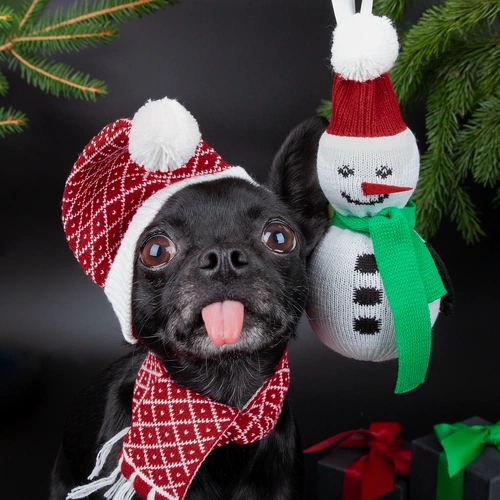 Елочная игрушка «Снеговик» Елочная игрушка «Снеговик»