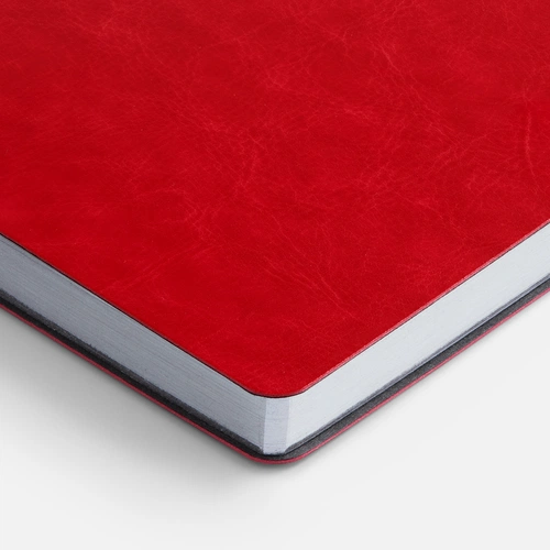 Ежедневник Nebraska Flex, недатированный, красный с серебристым Ежедневник Nebraska Flex, недатированный, красный с серебристым