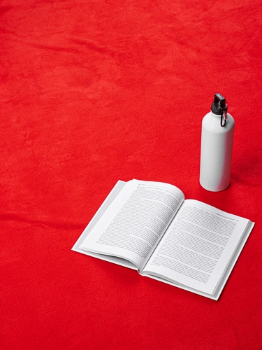 Дорожный плед Voyager 2, красный Дорожный плед Voyager 2, красный