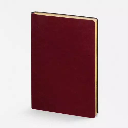 Ежедневник Nebraska Flex, недатированный, бордовый с золотистым Ежедневник Nebraska Flex, недатированный, бордовый с золотистым