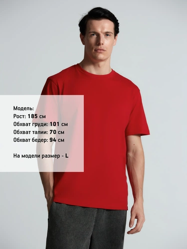 Футболка унисекс Streetwise, красная Футболка унисекс Streetwise, красная