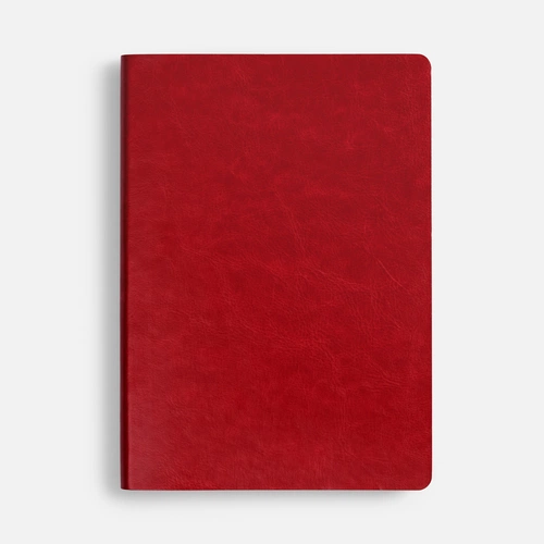 Ежедневник Nebraska Flex, недатированный, красный с золотистым Ежедневник Nebraska Flex, недатированный, красный с золотистым