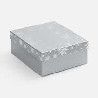 Коробка Wintry, серебристая