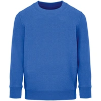 Свитшот детский Columbia Kids, ярко-синий (royal)