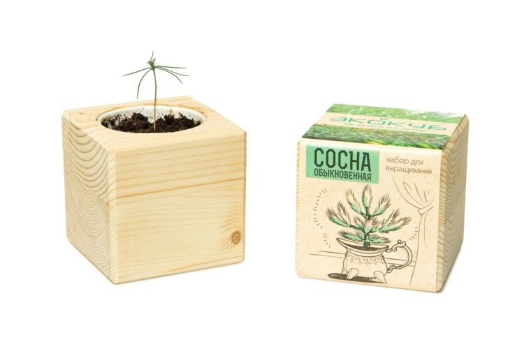 Набор для выращивания «Экокуб», сосна Набор для выращивания «Экокуб», сосна