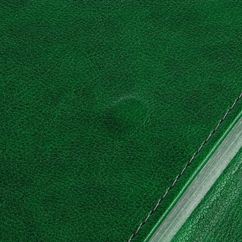 Ежедневник Flap на заказ, недатированный, зеленый Ежедневник Flap на заказ, недатированный, зеленый