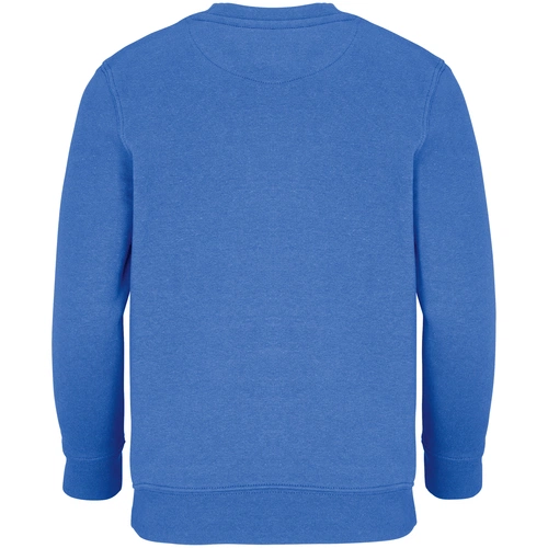 Свитшот детский Columbia Kids, ярко-синий (royal) Свитшот детский Columbia Kids, ярко-синий (royal)