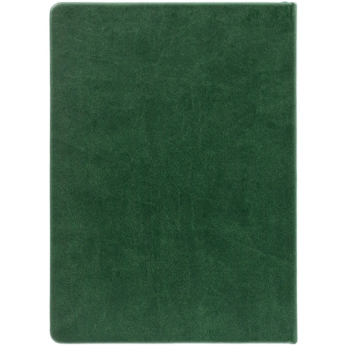 Ежедневник New Latte, недатированный, зеленый Ежедневник New Latte, недатированный, зеленый