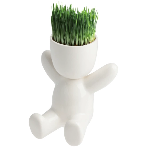 Набор для выращивания Funky Kid Набор для выращивания Funky Kid