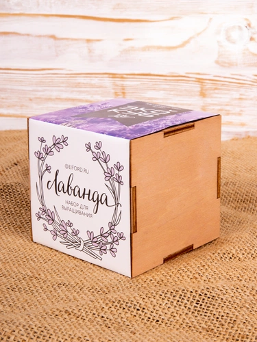 Набор для выращивания «Экокуб Lite», лаванда Набор для выращивания «Экокуб Lite», лаванда