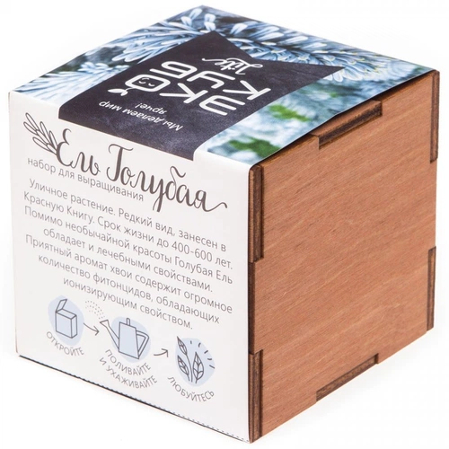 Набор для выращивания «Экокуб Lite», ель голубая Набор для выращивания «Экокуб Lite», ель голубая