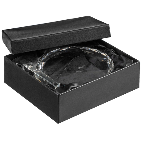 Награда Glory, средняя, в подарочной упаковке Награда Glory, средняя, в подарочной упаковке