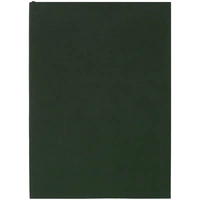 Ежедневник Flat Light, недатированный, зеленый