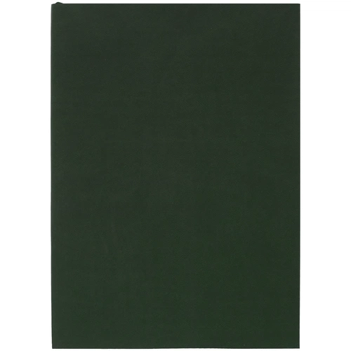 Ежедневник Flat Light, недатированный, зеленый Ежедневник Flat Light, недатированный, зеленый