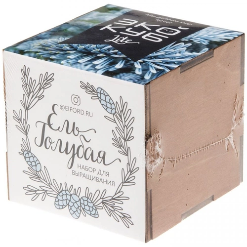 Набор для выращивания «Экокуб Lite», ель голубая Набор для выращивания «Экокуб Lite», ель голубая