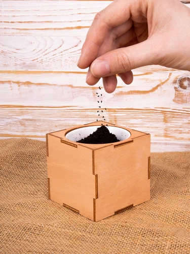 Набор для выращивания «Экокуб Lite», лаванда Набор для выращивания «Экокуб Lite», лаванда