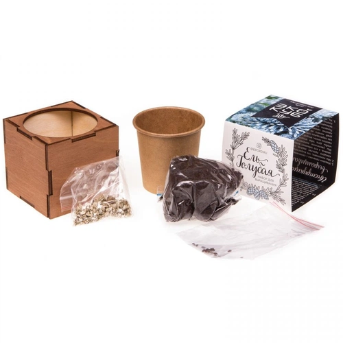 Набор для выращивания «Экокуб Lite», ель голубая Набор для выращивания «Экокуб Lite», ель голубая