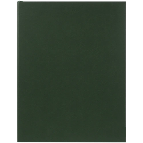 Ежедневник Flat Maxi, недатированный, зеленый Ежедневник Flat Maxi, недатированный, зеленый