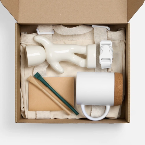 Набор Eco Sapiens Buddy Набор Eco Sapiens Buddy