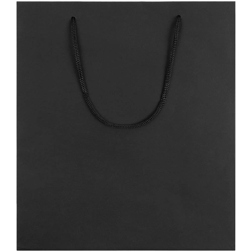 Пакет бумажный Vid L, черный Пакет бумажный Vid L, черный