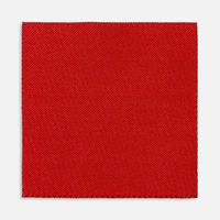 Лейбл тканевый Epsilon, L, красный