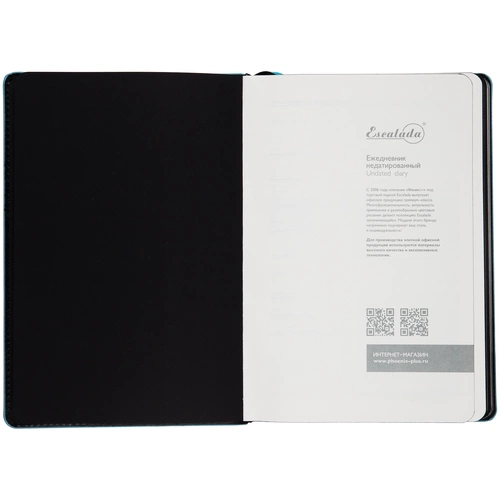 Ежедневник Alanis, недатированный, черный с голубым Ежедневник Alanis, недатированный, черный с голубым