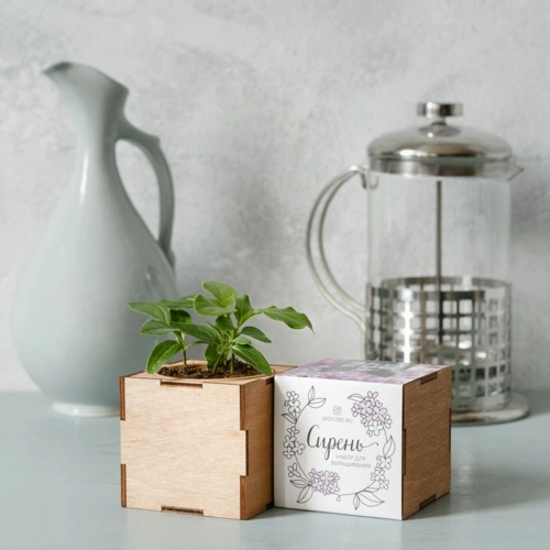 Набор для выращивания «Экокуб Lite», сирень Набор для выращивания «Экокуб Lite», сирень