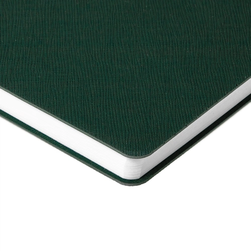 Ежедневник Flexpen Bright, недатированный, зеленый Ежедневник Flexpen Bright, недатированный, зеленый