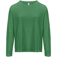 Футболка с длинным рукавом женская Monarch Women, ярко-зеленая