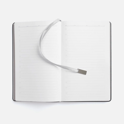 Ежедневник Petrus, недатированный, зеленый Ежедневник Petrus, недатированный, зеленый