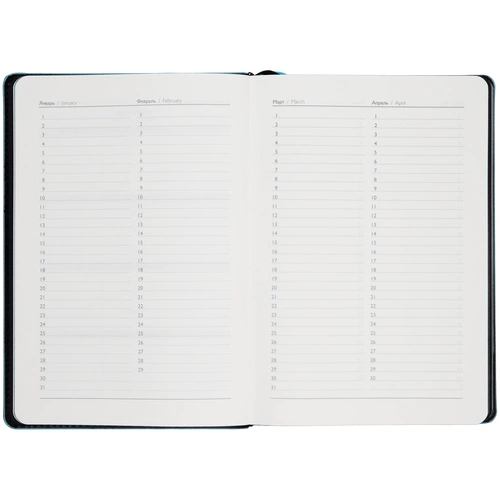 Ежедневник Alanis, недатированный, черный с голубым Ежедневник Alanis, недатированный, черный с голубым