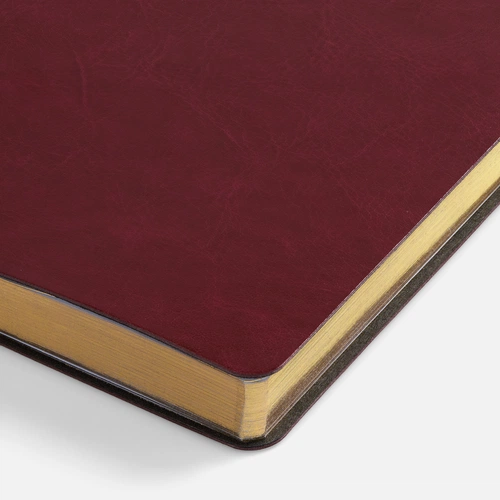 Ежедневник Nebraska Flex, недатированный, бордовый с золотистым Ежедневник Nebraska Flex, недатированный, бордовый с золотистым