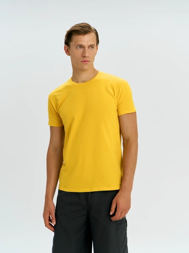 Футболка унисекс Regent 150, желтая Футболка унисекс Regent 150, желтая