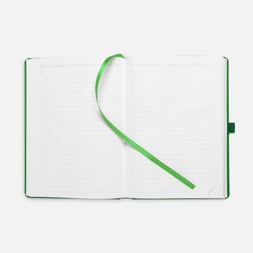 Ежедневник Favor Metal, недатированный, ярко-зеленый Ежедневник Favor Metal, недатированный, ярко-зеленый