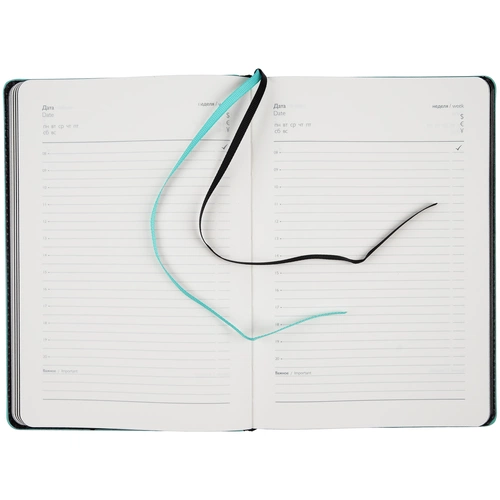 Ежедневник Alanis, недатированный, черный с голубым Ежедневник Alanis, недатированный, черный с голубым
