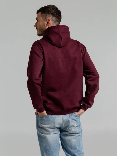 Толстовка с капюшоном Snake II бордовая Толстовка с капюшоном Snake II бордовая