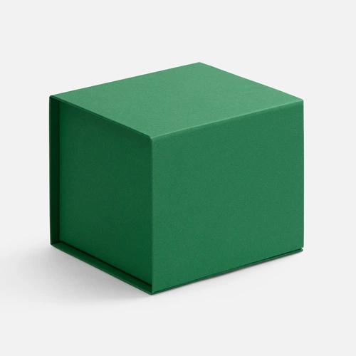 Коробка Alian, зеленая Коробка Alian, зеленая