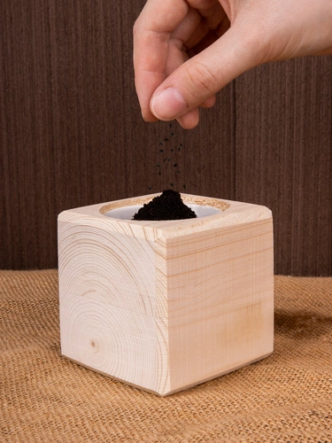 Набор для выращивания «Экокуб», сосна Набор для выращивания «Экокуб», сосна