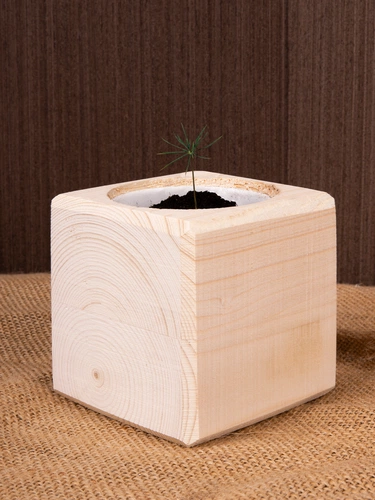 Набор для выращивания «Экокуб», сосна Набор для выращивания «Экокуб», сосна