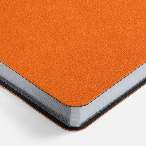 Ежедневник Petrus, недатированный, оранжевый Ежедневник Petrus, недатированный, оранжевый