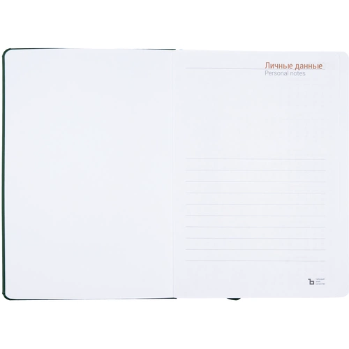 Ежедневник Basis, датированный, зеленый Ежедневник Basis, датированный, зеленый