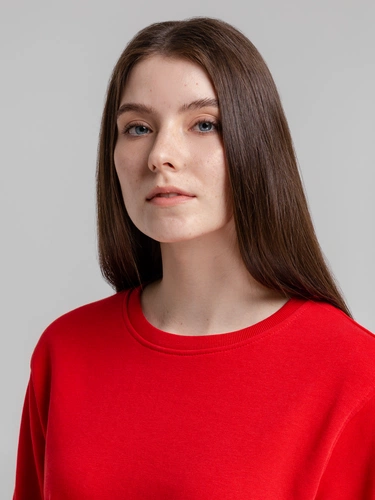 Свитшот унисекс BNC Inspire (Organic), красный Свитшот унисекс BNC Inspire (Organic), красный